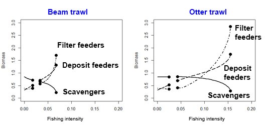 Biomass of each functional group at increasing fishing intensities: beam trawl and otter trawl. 