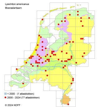 Verspreidingskaart moeraslantaarn 2024