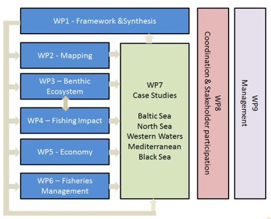 Working Packages and Case Studies BENTHIS